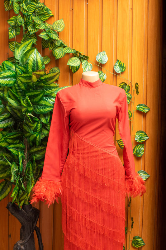 Fringles styled gown